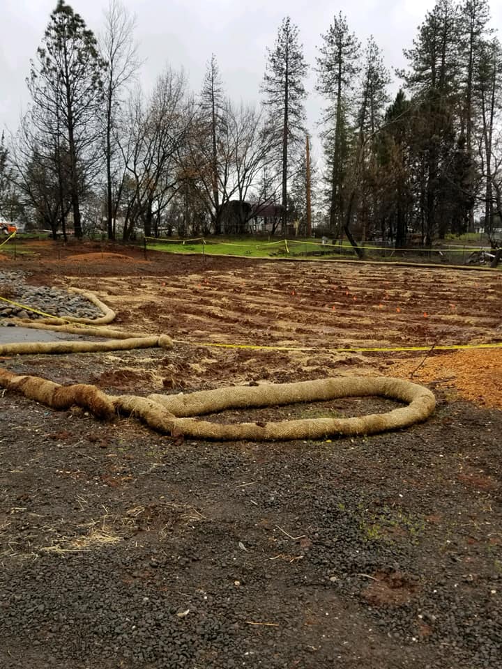 Tree Stumps and Dead Brush Removed from Acreage
