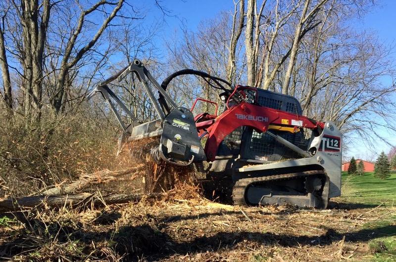 Tree Removal Tree Worx