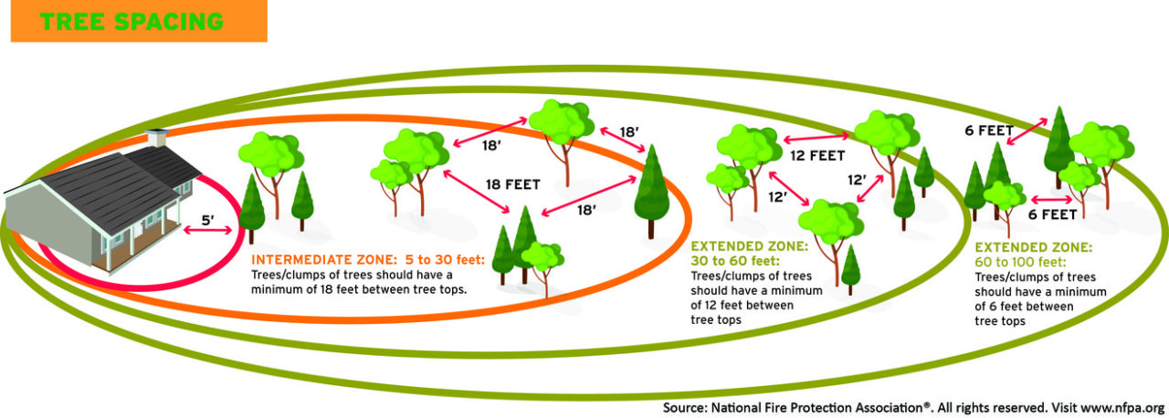 Defensible Space and Vegetation Management - Tree Worx